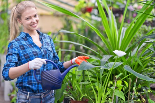 Team member preparing hedge trimming equipment at start of job