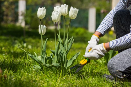 Garden tools and healthy soil in Hayes