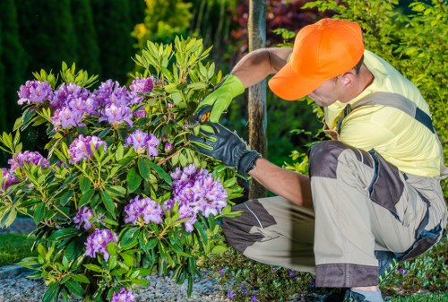 Weed control in Hayes garden beds