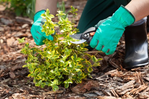 Close-up of tools and protective gear used by hedge trimming professionals in Hayes