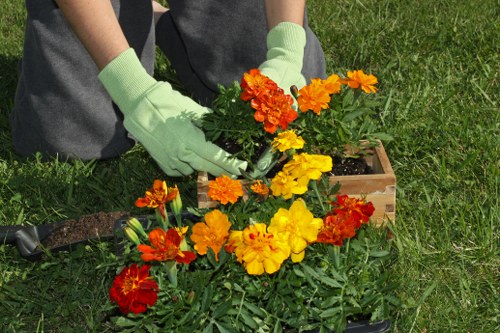 Weed removal process in a Hayes garden