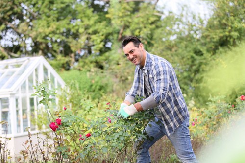 Eco-friendly hedge trimming services