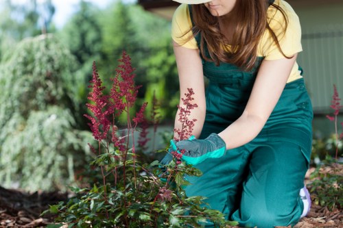 Professional landscapers planning a garden design in Hayes