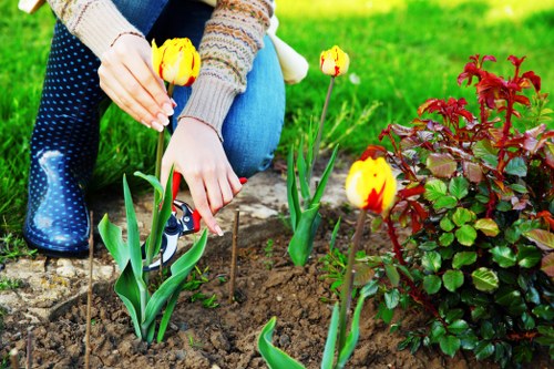 Eco-friendly lawn mowing practices with mulching mower