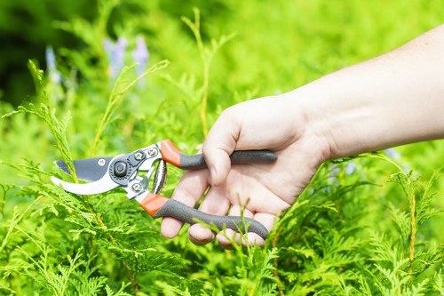 Technological advancements in modern lawn mowing equipment