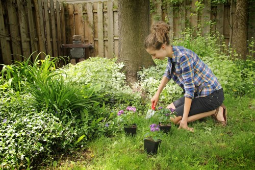 Beautifully maintained shrubs in a garden